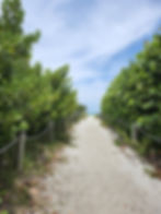 Beach access - 79th & Gulf Drive