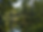 ChatGPT Image 3 de jun. de 2026, 16_56_56.png