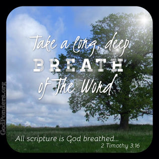 2Timothy 3_16.jpg