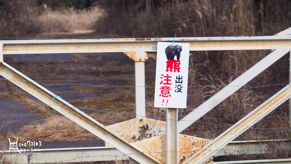 (圖片來源:富士山真好玩)