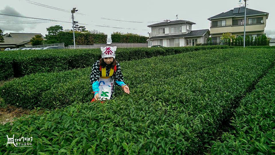 (圖片來源:富士山真好玩)