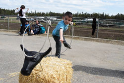 Learning to be a cowboy