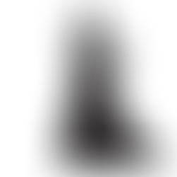 Bridg(erton)ing the Gap to The Abby Lee Dance Company