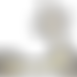 Mama a Scooter Behind YOU💜: A Call for No More Electric Scooters on Campus