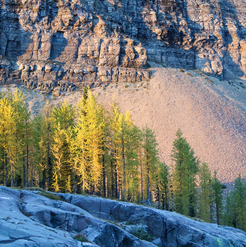 Adventure & Landscapes