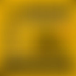 🚧 Why Work Zone Awareness Matters in the Forklift Industry