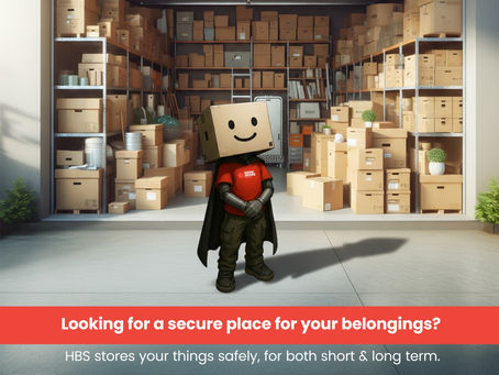 Extra Space Made Easy | My Experience with Home Board Storage in Chennai