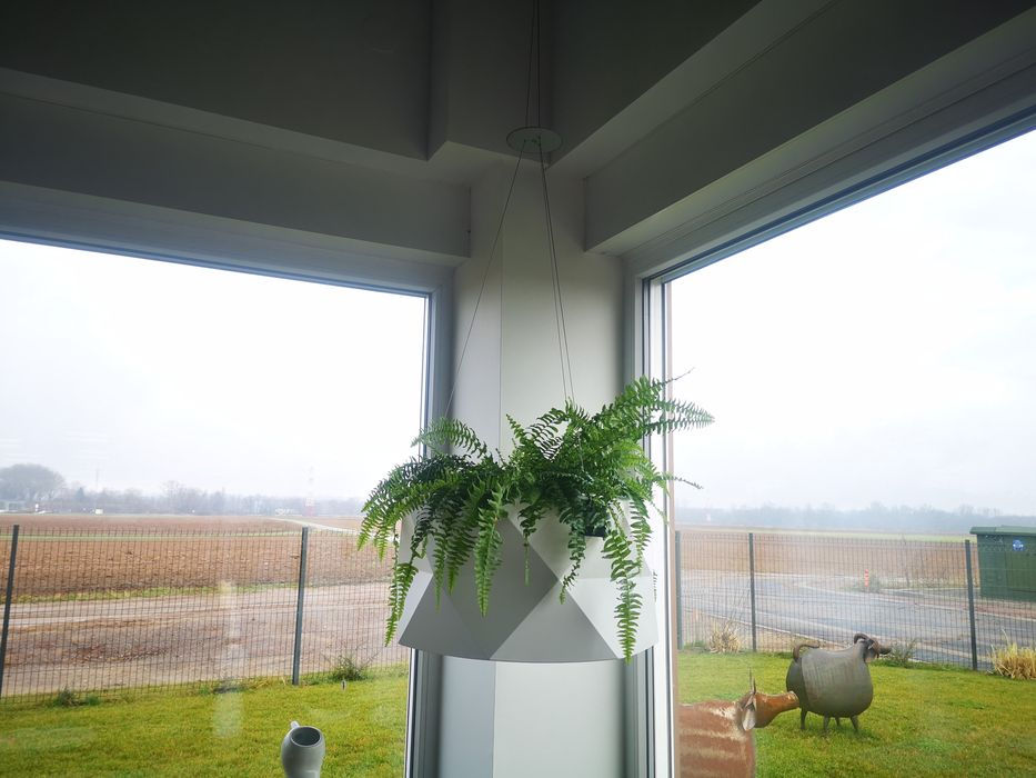 Miniature : MARQUISE Suspendu