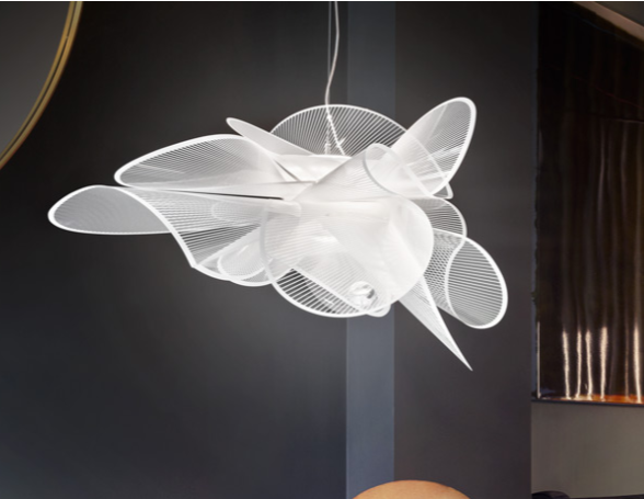 Miniature : DENTELLA suspension