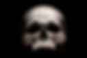 human-skull-black.jpg