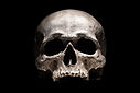human-skull-black.jpg