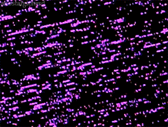 The Treasurey at Petra