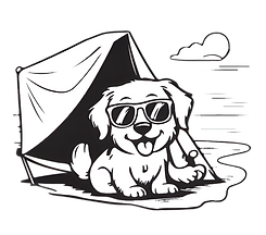 Dog at Beach.png