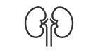 Laden_Sie_isolierte_Ikone_der_Niere__des_Organs_für_Grafik-_und_Website-Design_kostenlos_h
