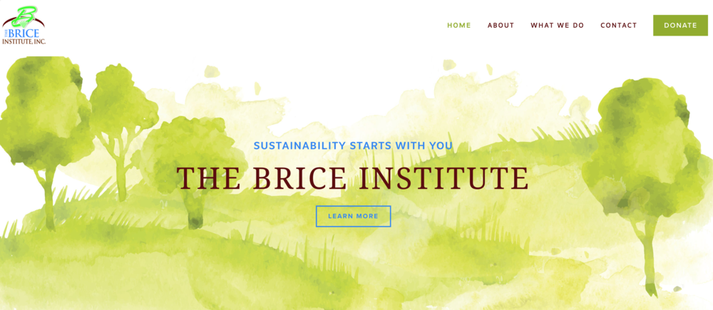 THE BRICE INSTITUTE