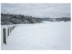 Pest control in winter