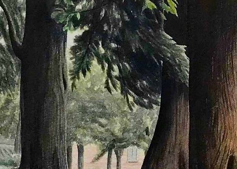Paesaggio naturale