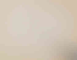 disegno preparatorio dei fichi d'india