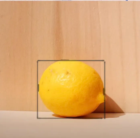 Disegno di un limone inserito in un riquadro rettangolare per lo studio delle proporzioni