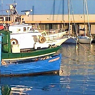 barche in un molo