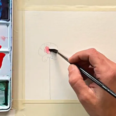 prime velature di rosso sui petali