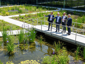 Jardim de Tratamento: a Solução Sustentável que sua Indústria se Orgulharia de Mostrar