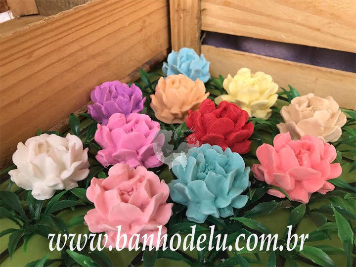 Sabonete Artesanal suculenta dobrada unidade).