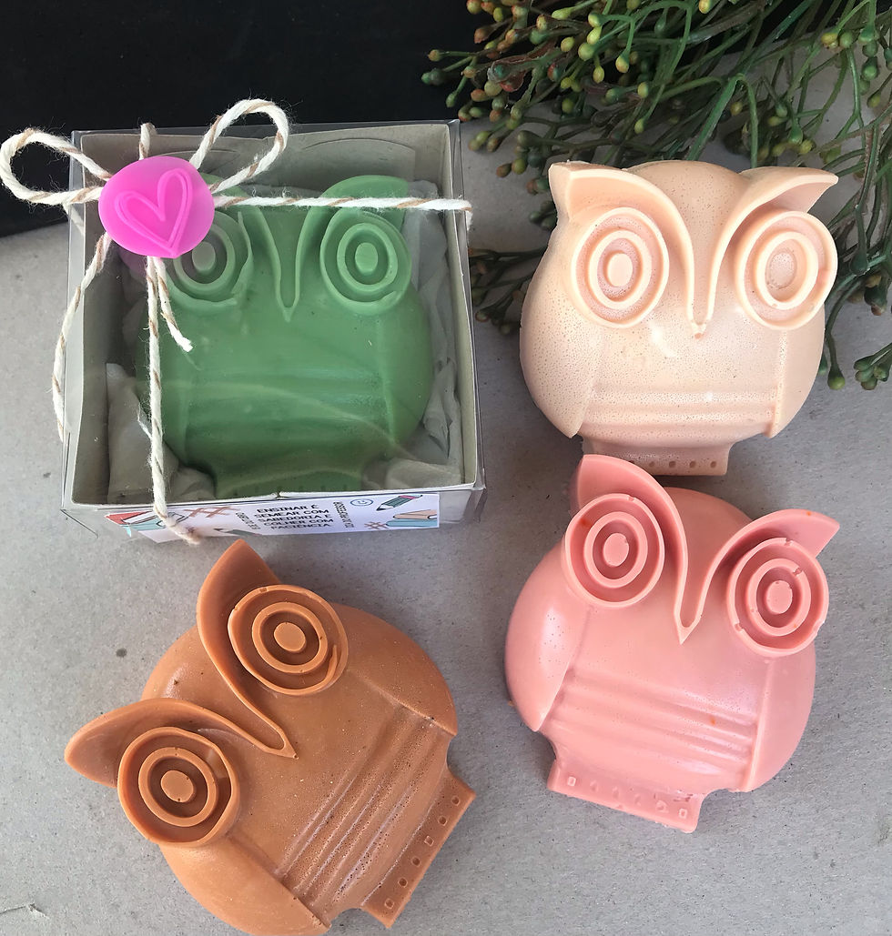 Lembrancinha Dia do Professor Sabonete Coruja na caixinha