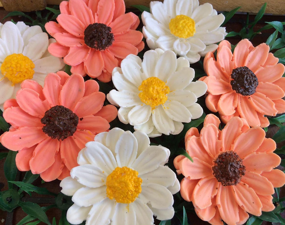 Miniatura: Lembrancinha Sabonete Margarida