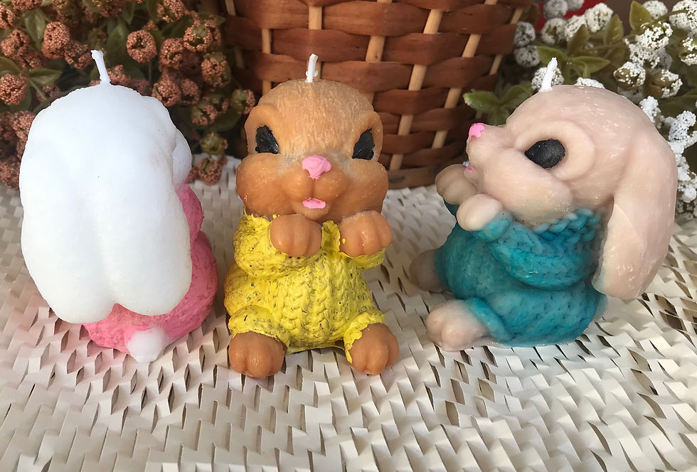 Miniatura: Vela personalizada coelho com roupinha