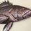 Thumbnail: 26" Black Sea Bass