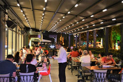 Tavuk Dünyası Galeri (1)