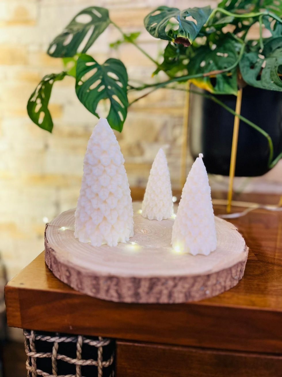 Miniatura: Choinka Świerk