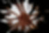 Calder_vibegym-35.jpg