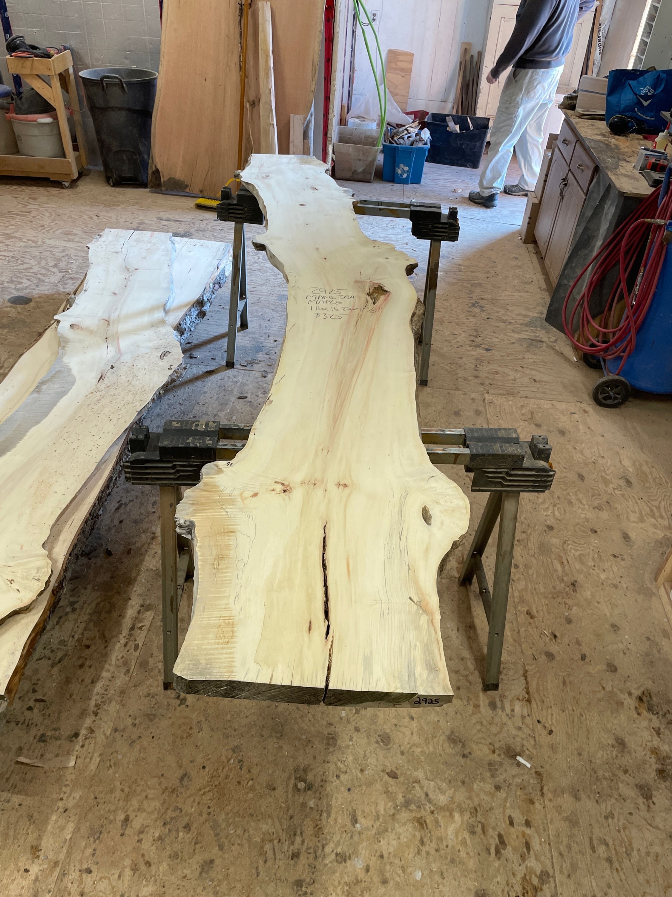 Manitoba maple slab with burl