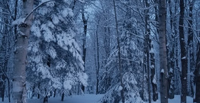 The beauty and reality of winter home maintenance in the Northwoods.