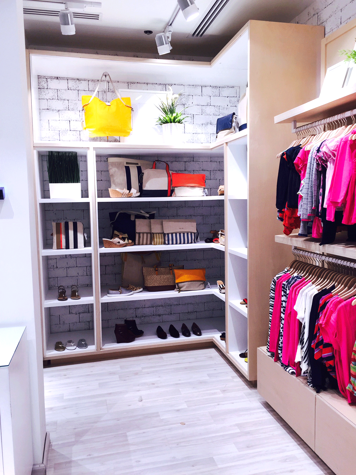 Splendid Saudi Arabia