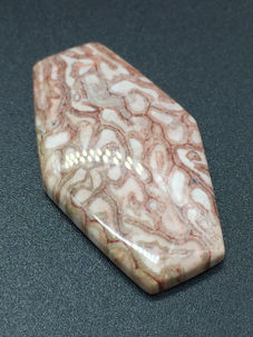 Cabochon petrified fern Brazil