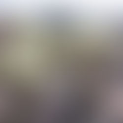 Les environs de Tucson, Arizona USA