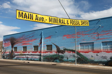 Main Ave. Mineral & fossil show
