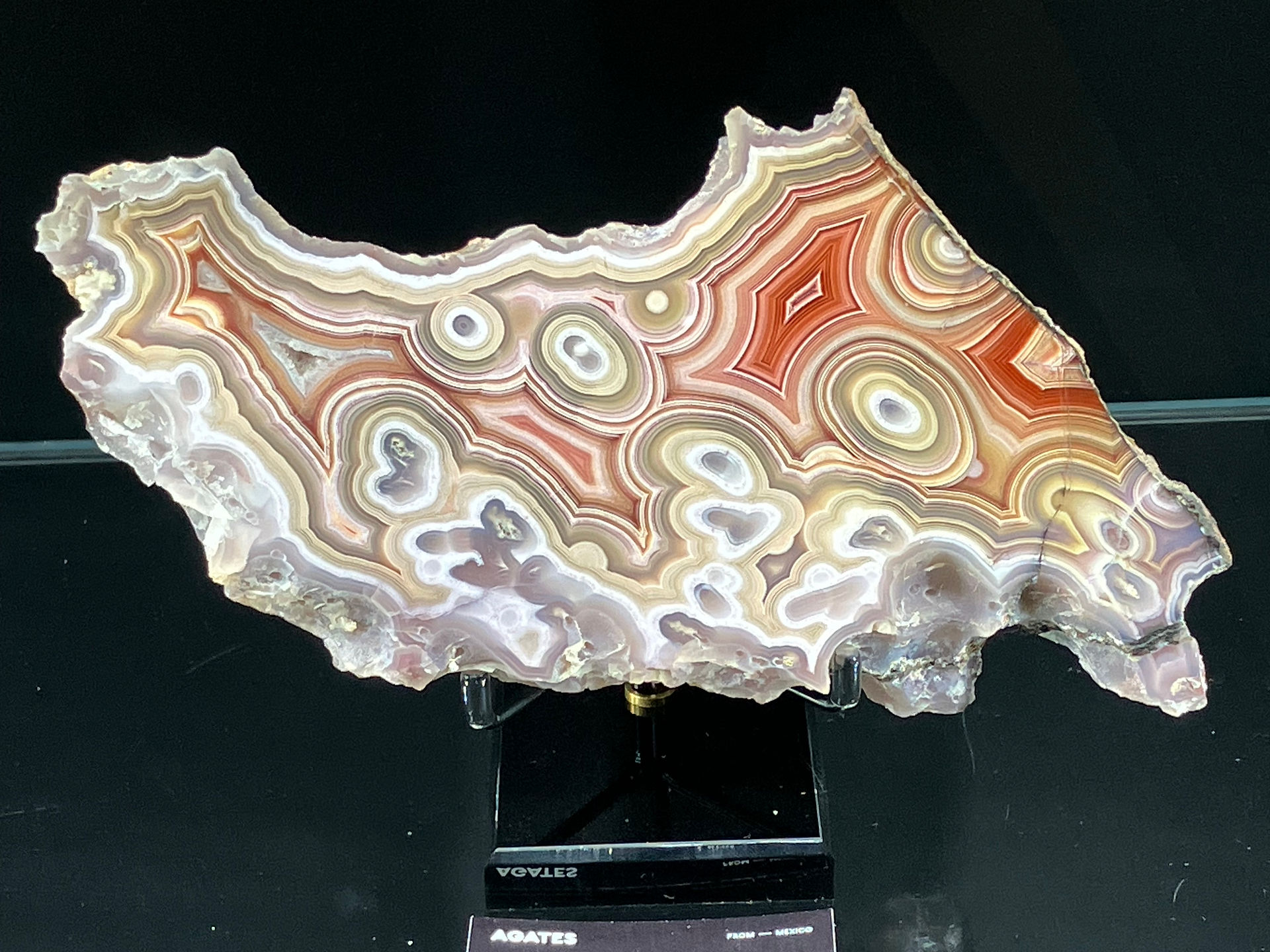 Tucson gem show 2025