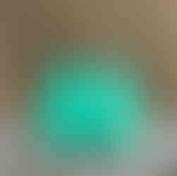 Paire de Cabochons en Bois Opalisé Naturel – Silice Cuprifère