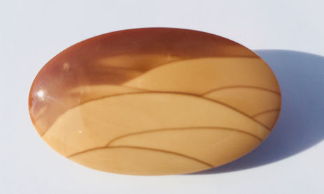 Jaspe Bruneau Idaho cabochon