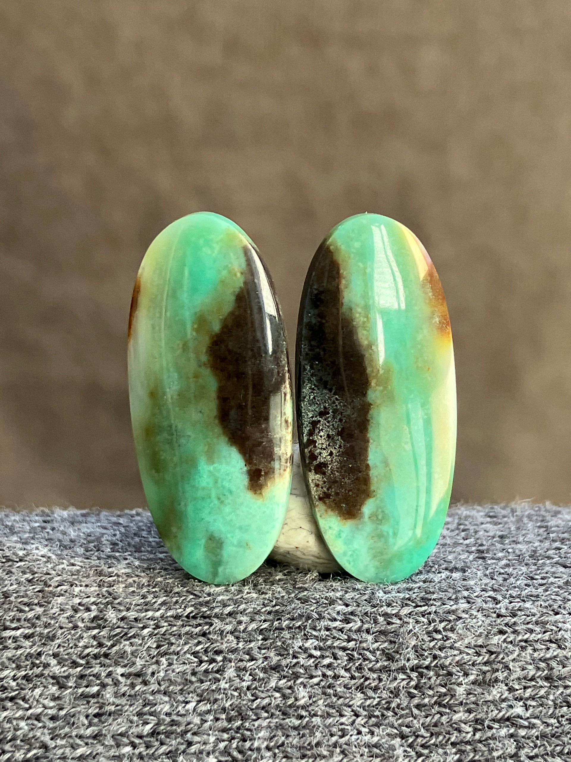 Paire de Cabochons en Bois Opalisé Naturel – Silice Cuprifère