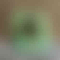 Paire de Cabochons en Bois Opalisé Naturel – Silice Cuprifère