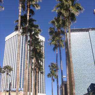 business center tucson and palm trees