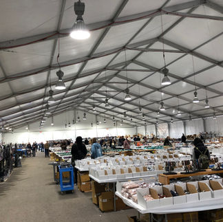 Visite tucson gem show 2023 : barnum