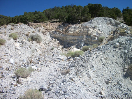 Calcaire de Toroweap