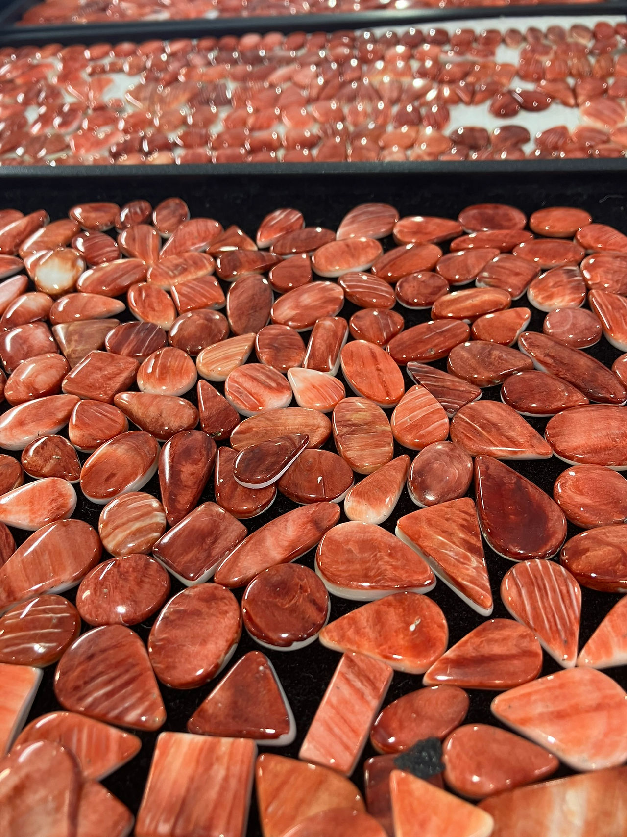 cabochons en spiny oysters