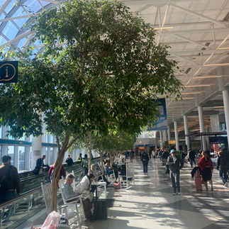 Charlotte Douglas International Airport